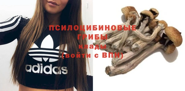 прущие грибы Алзамай