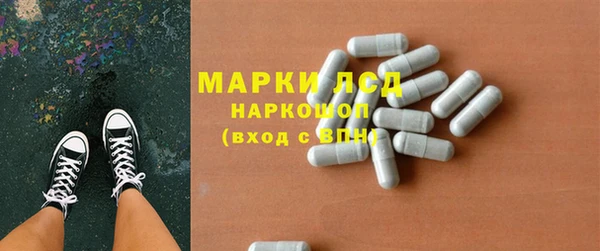 гидра Абаза