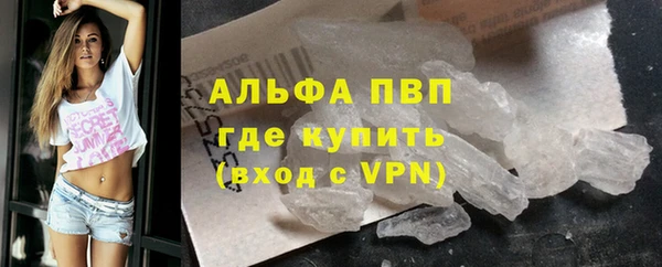 гидра Абаза