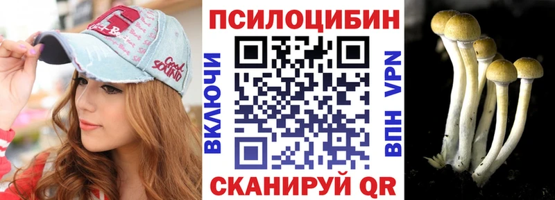 магазин продажи   Плавск  Галлюциногенные грибы Magic Shrooms 